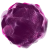 Vibrance desir