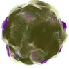 Vibrance Justice