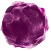 Vibrance ivresse